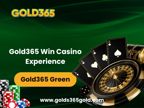 Gold365 Win Casino Experience